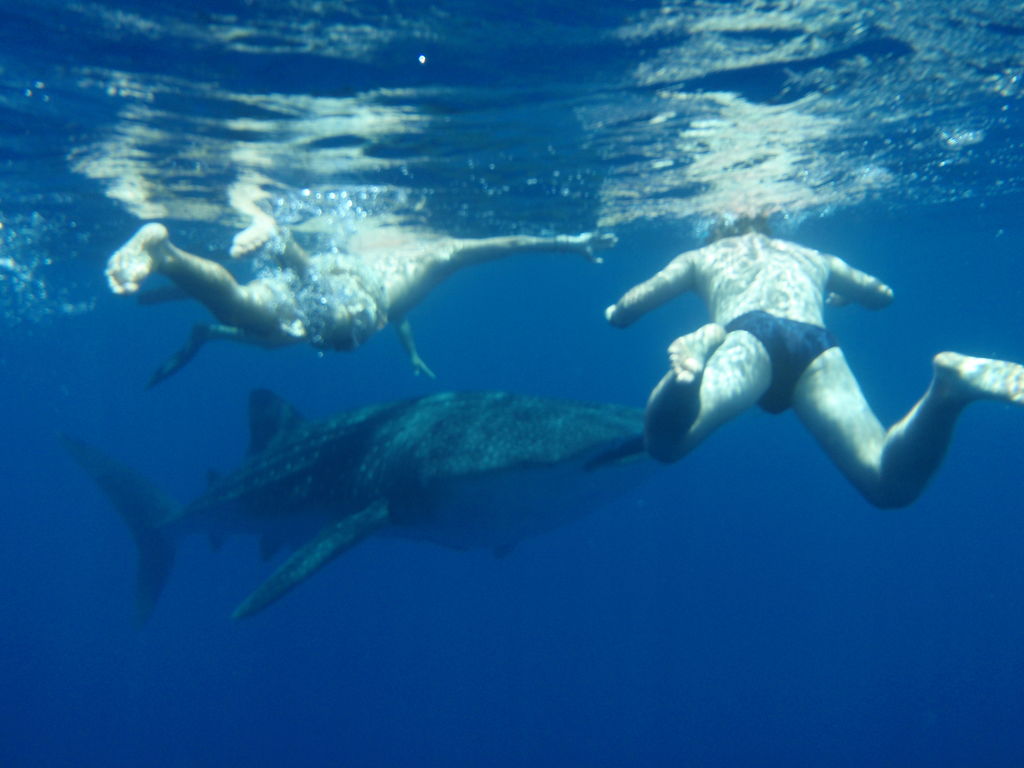 daaa1333-8e2a-47be-a451-48184ff9c250