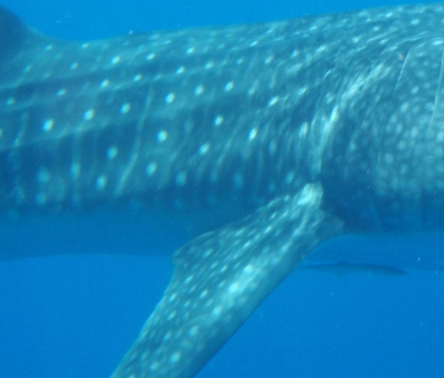 daaa1333-8e2a-47be-a451-48184ff9c250