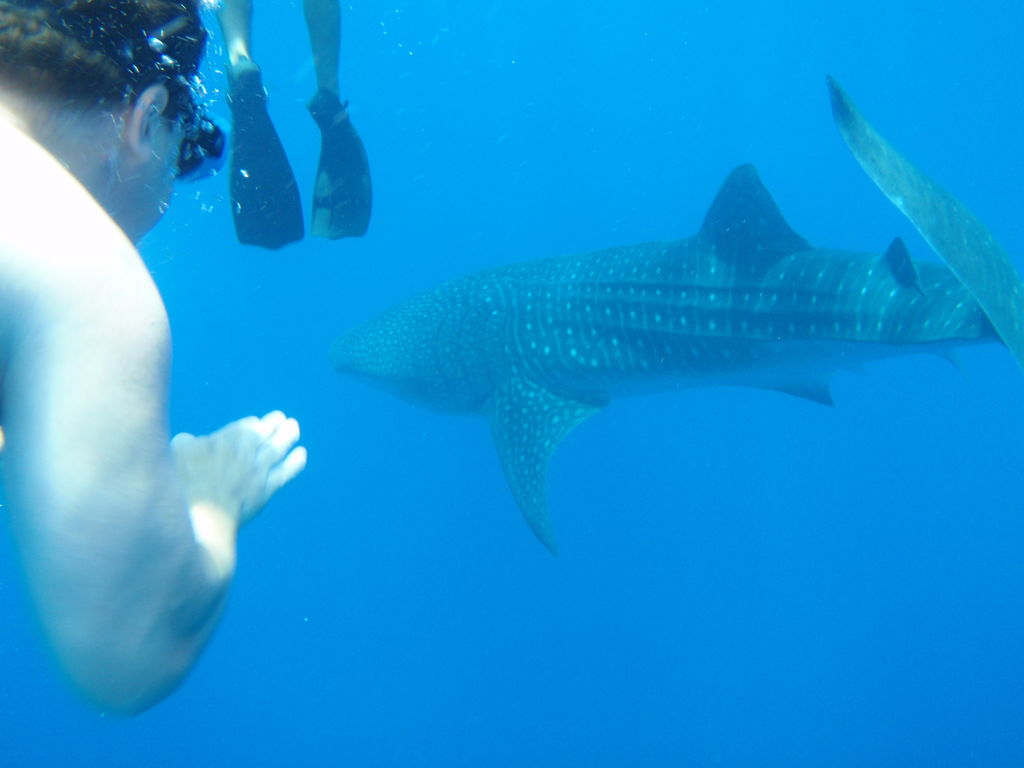 daaa1333-8e2a-47be-a451-48184ff9c250