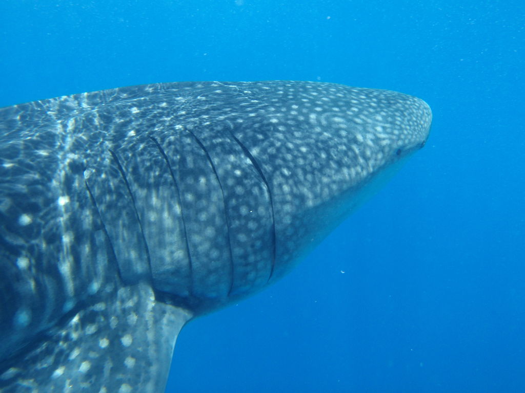 daaa1333-8e2a-47be-a451-48184ff9c250