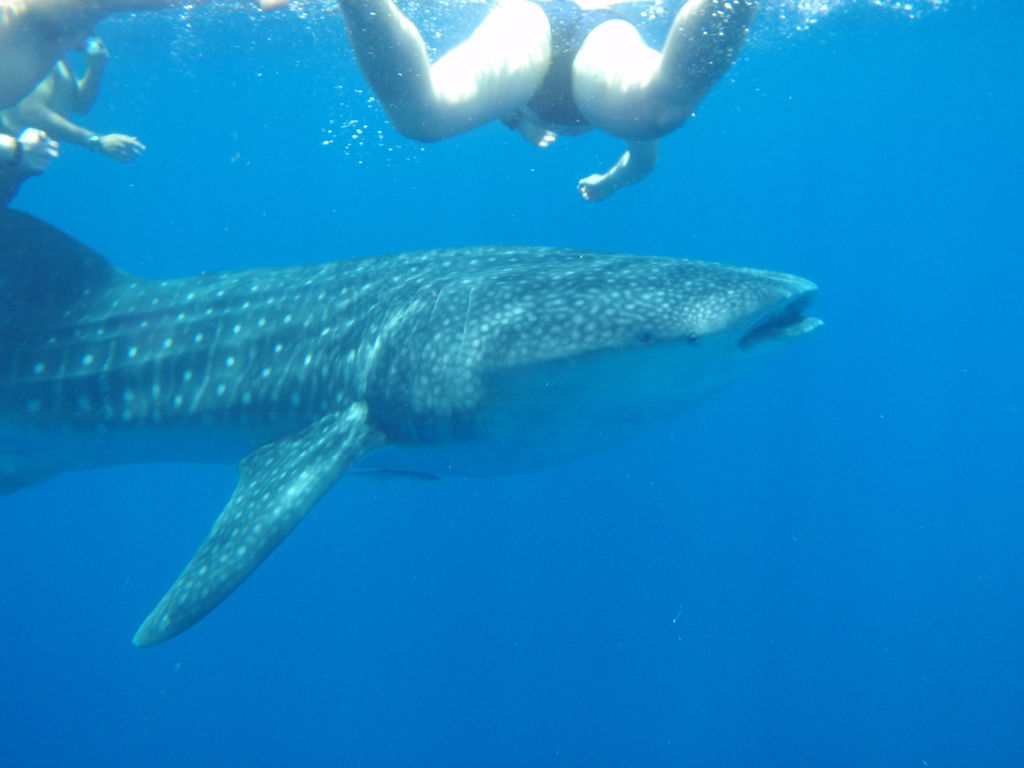 daaa1333-8e2a-47be-a451-48184ff9c250