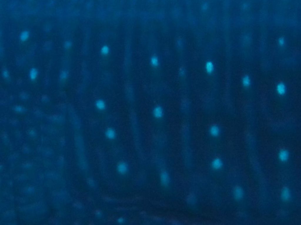 61dabeee-3d40-4e43-85e4-9cce8091850c