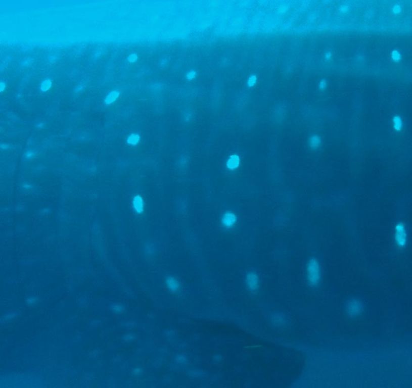 a901bb7b-65c5-426b-981c-358c2179fd46