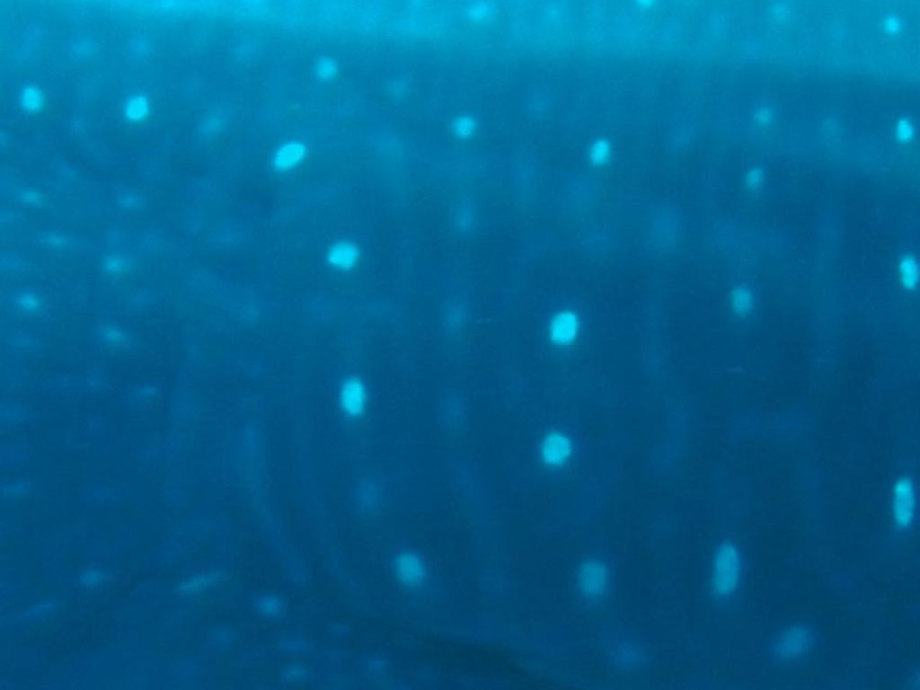 a901bb7b-65c5-426b-981c-358c2179fd46