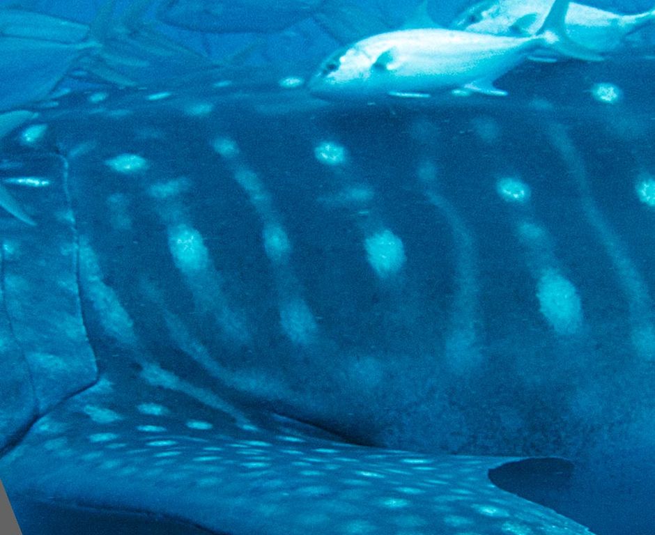 44d46354-2626-4ef6-8ef9-47d99752f809