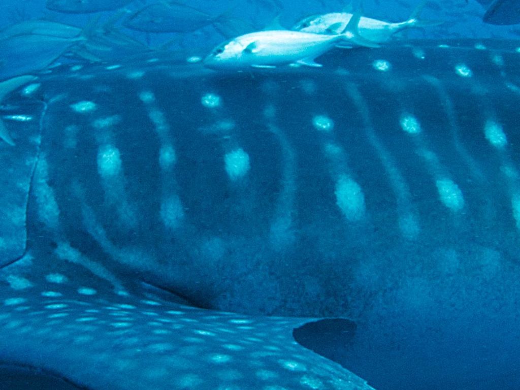 44d46354-2626-4ef6-8ef9-47d99752f809