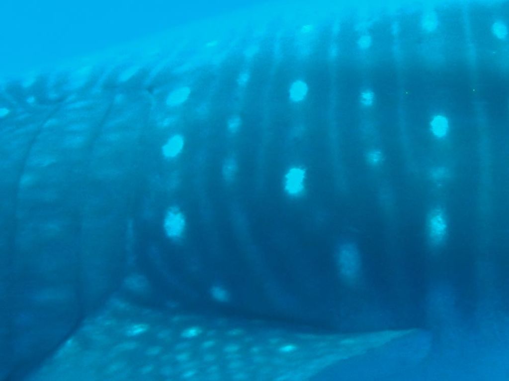 cbb22e47-ec8d-46ea-9a4a-c15190e5d8da