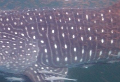 f70e58ce-b04b-4ec8-8d8f-6cf4e26a5dca