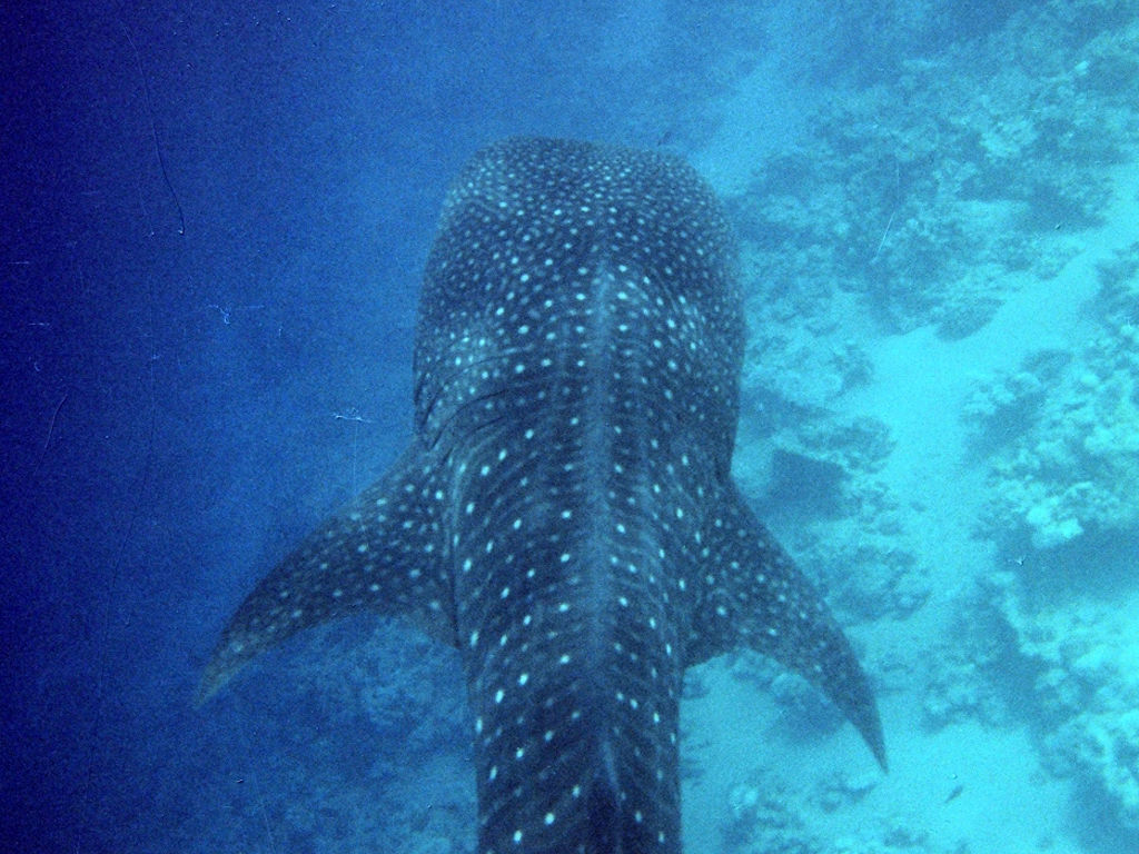 a1105b2c-c96b-4f75-bf28-92f4d3f48bdc