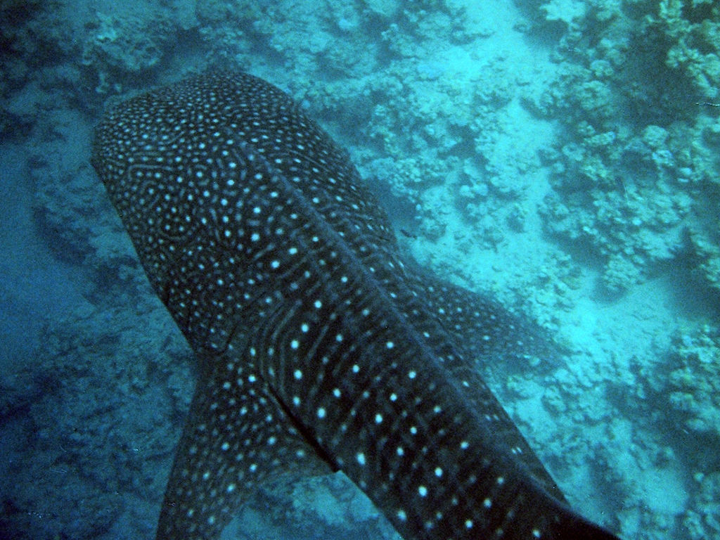 a1105b2c-c96b-4f75-bf28-92f4d3f48bdc