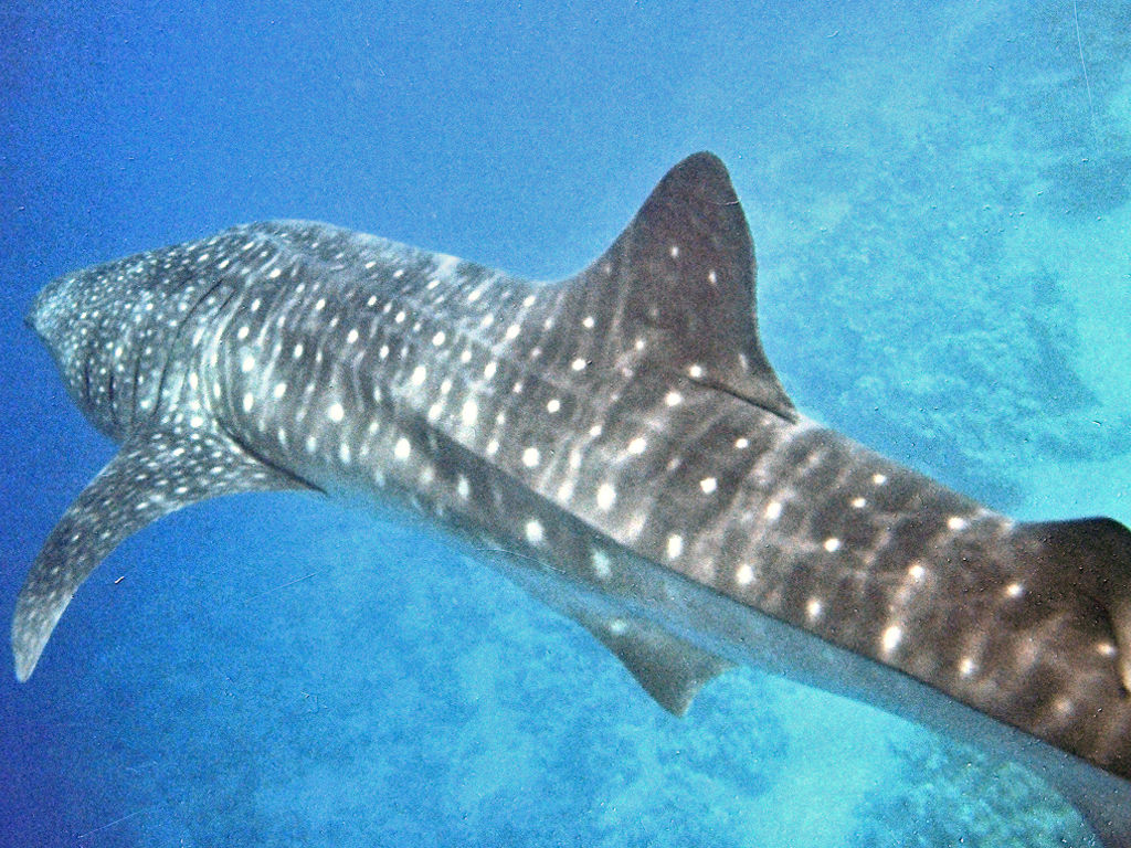 a1105b2c-c96b-4f75-bf28-92f4d3f48bdc