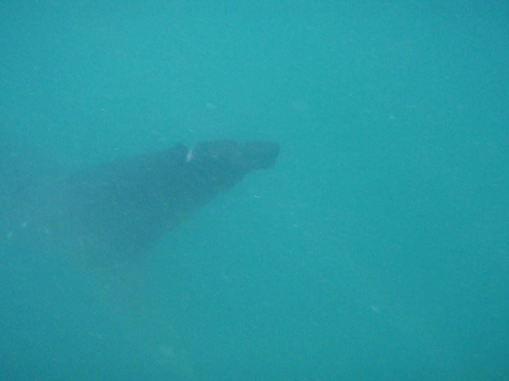 0ee5a255-8348-4dac-b270-79f2b487e511