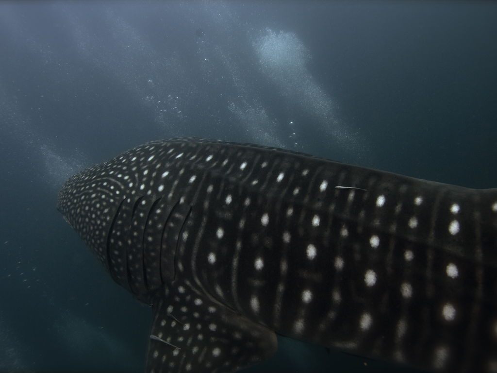 053b187f-d24e-4791-a5f8-1c29323d27e5