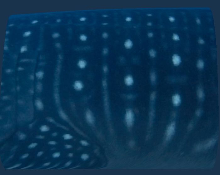 053b187f-d24e-4791-a5f8-1c29323d27e5