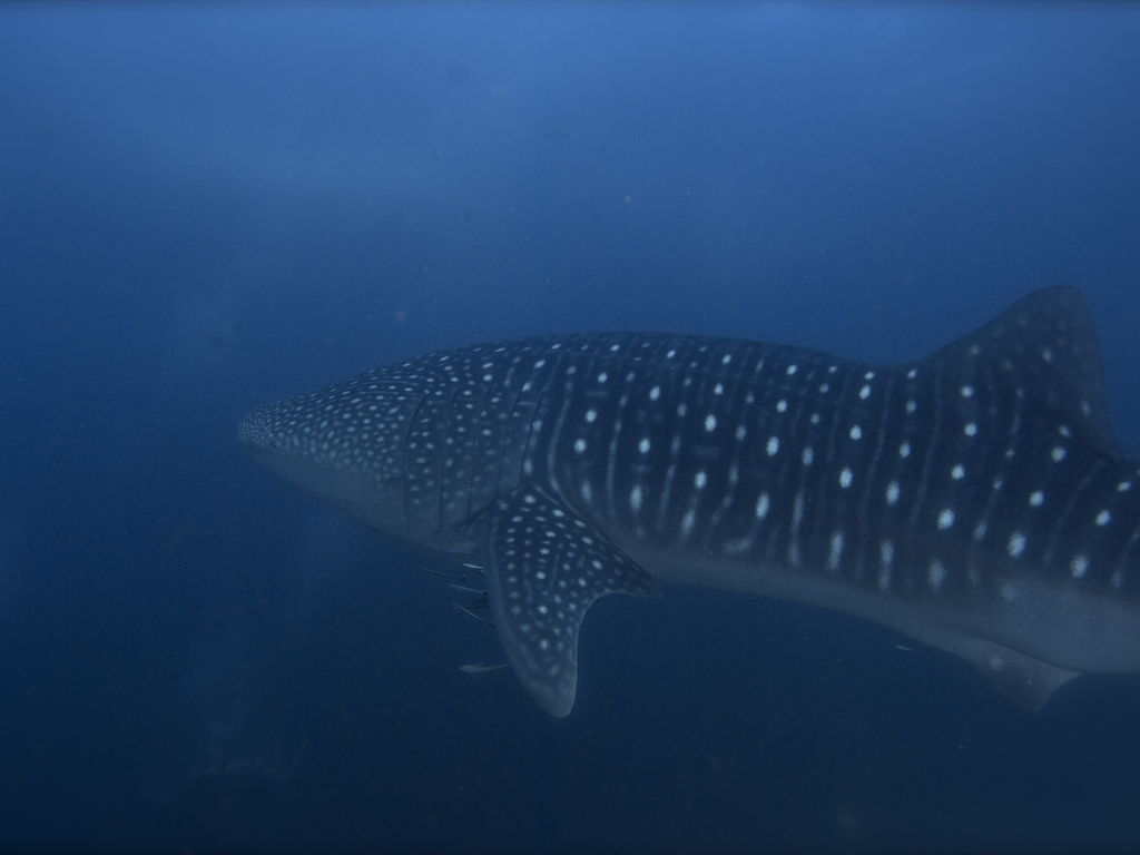 053b187f-d24e-4791-a5f8-1c29323d27e5