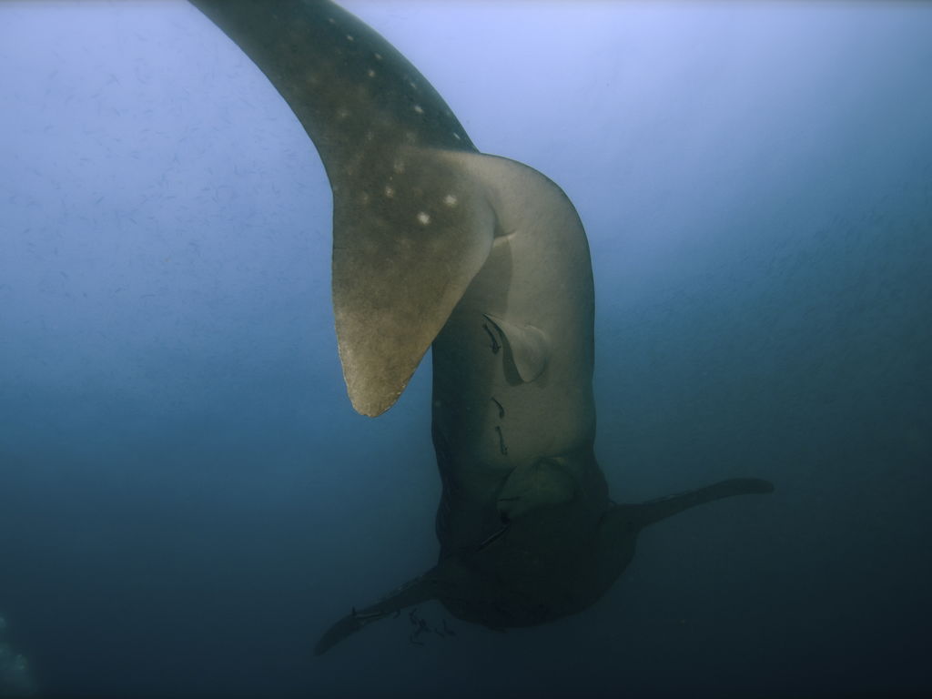 053b187f-d24e-4791-a5f8-1c29323d27e5