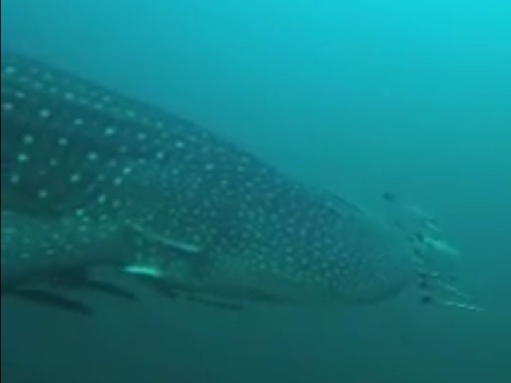 ce3634cc-92b6-4457-b76d-e3a3e15f98f3