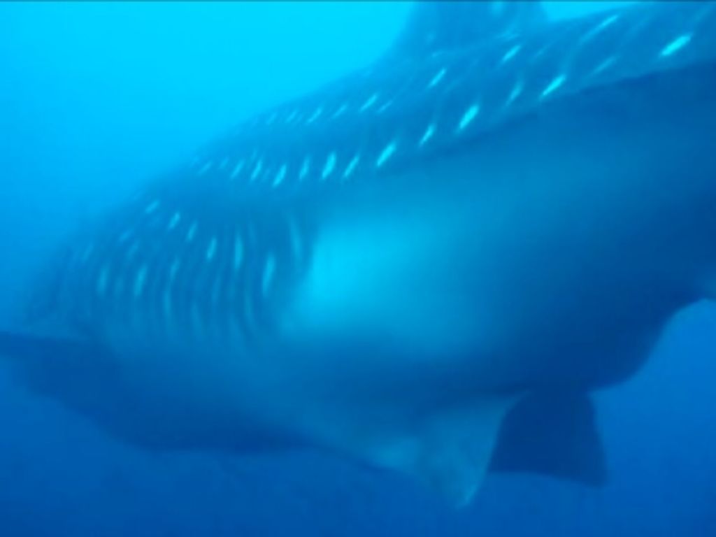 e4e40dd7-2f0f-4a89-bb3d-f8b413f32f3c