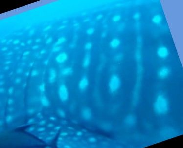 e4e40dd7-2f0f-4a89-bb3d-f8b413f32f3c