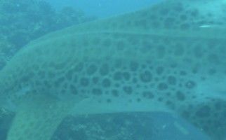 f94b10c7-70ed-4c9c-a2bc-8e44ba2c0cd6