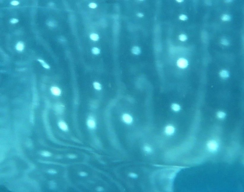 753dbd47-c00f-4a70-9568-1bcde8be79a3