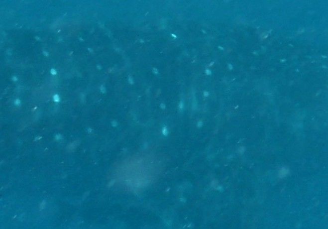 753dbd47-c00f-4a70-9568-1bcde8be79a3