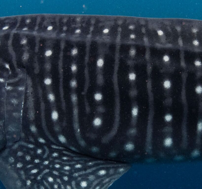 761dd40f-64cb-41db-945d-521ac1f202f7