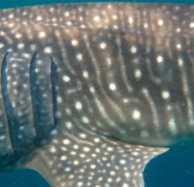 73c82212-cada-4aa0-bcb9-cc4d090f2141