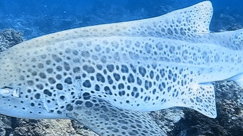 583bec27-1e01-46d2-8c31-4f0bbdb24d9b