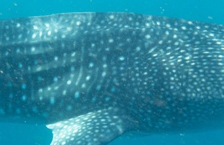 e2507fff-9727-4036-8a0d-b105d0dd1905