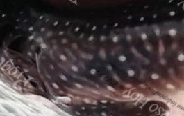 c3c0f052-a85f-4aef-a140-af89905f0a32