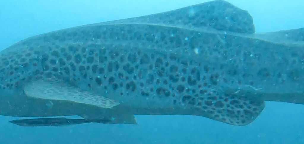 cec71780-51b7-4891-b406-a719653dc0bd