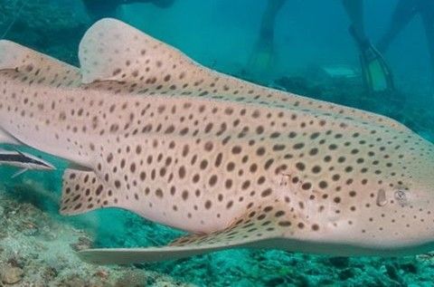 0771a747-ded9-4590-9669-50264fbe59c1