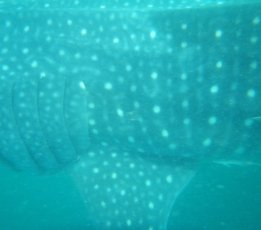 024c2470-7a8b-4af2-bfe4-84ce0437b3ce