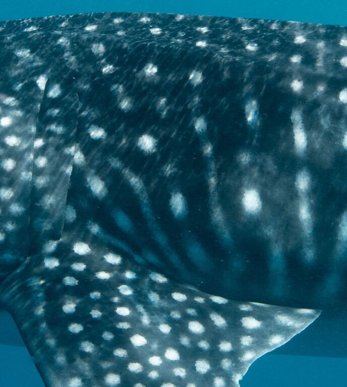 35761845-e84e-479d-b71e-b58017253525