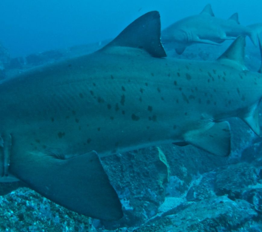 d7cbad2d-7149-47c9-a31a-9c56c9736afd