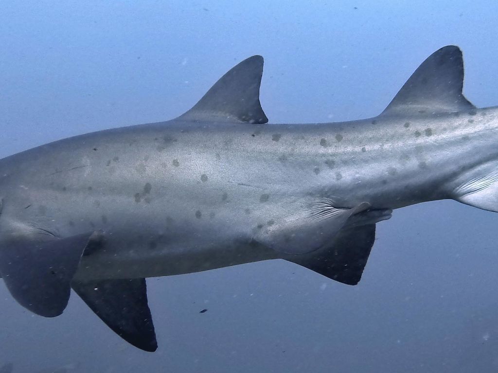 5e4aeee9-2e59-41d7-9d04-567618a14a43