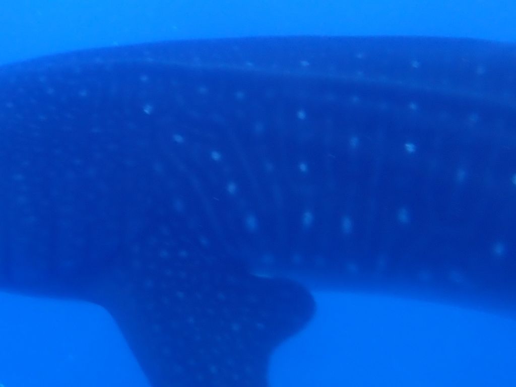 31ce49c1-27f7-4fe5-b2a6-8402507f3b79