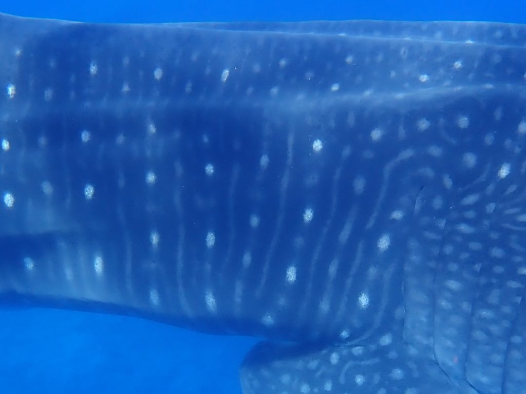 31ce49c1-27f7-4fe5-b2a6-8402507f3b79