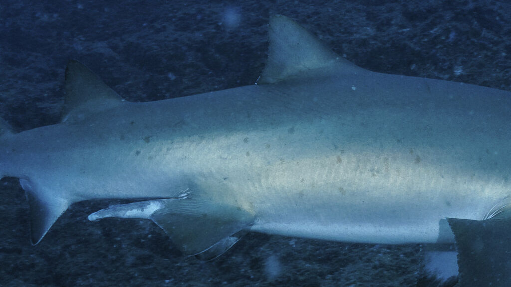 d4a960f8-d018-46d3-9fd6-4ac1a8eb77ad