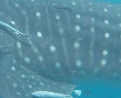 b124358c-2439-49c6-9e1a-e3936a61c465