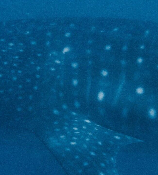 96d930fa-4e98-49b2-806a-79421b5d2d66