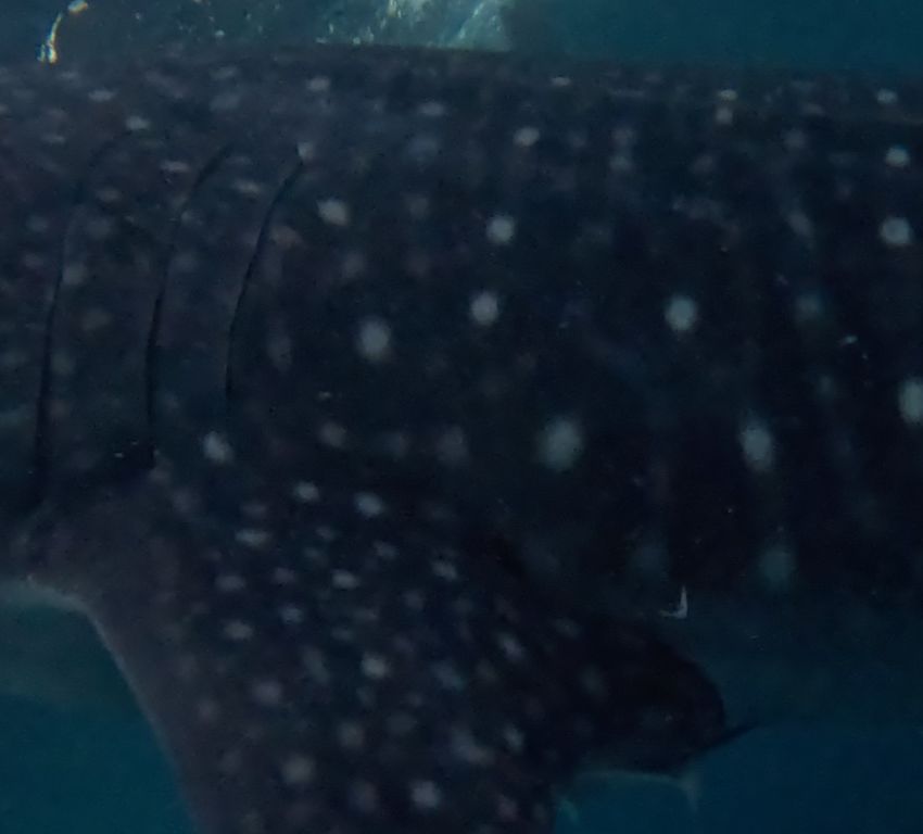 213baa8a-ebfb-4ad5-844d-6f47692ae472