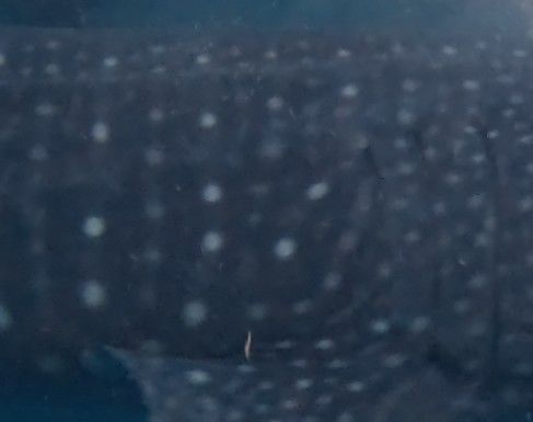 213baa8a-ebfb-4ad5-844d-6f47692ae472