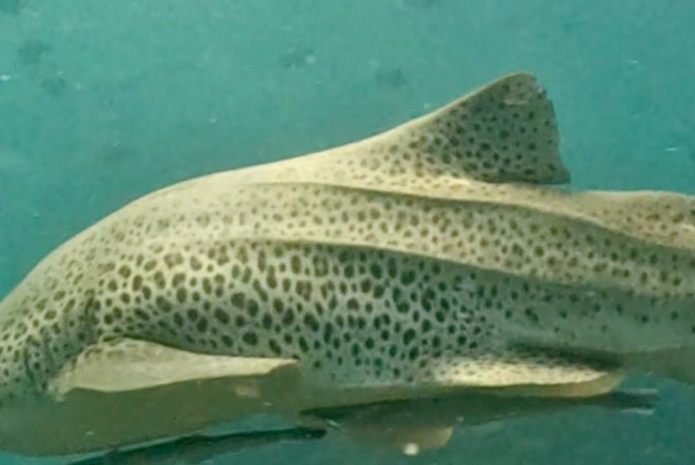 43ab1982-c159-49a4-bd39-d732260af36a