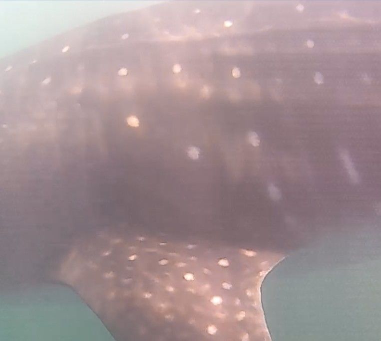 88cec84b-a7a7-4ea7-b253-c7c04b4bb893