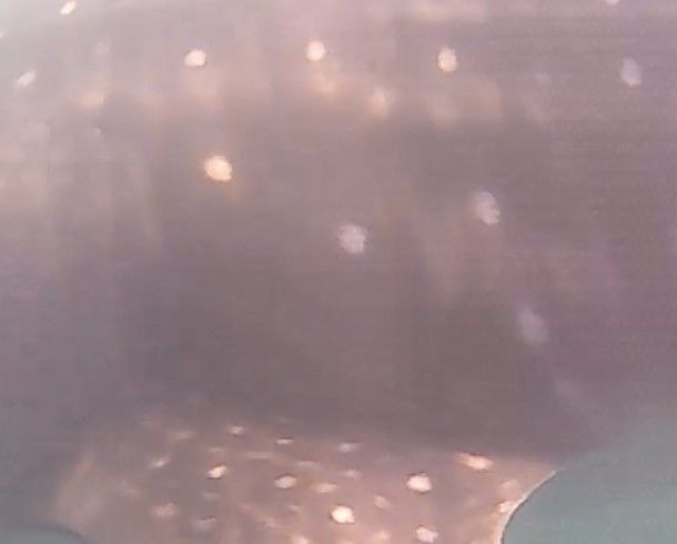 88cec84b-a7a7-4ea7-b253-c7c04b4bb893