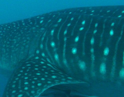 1453fb38-8abc-4155-8484-273068ea41d7