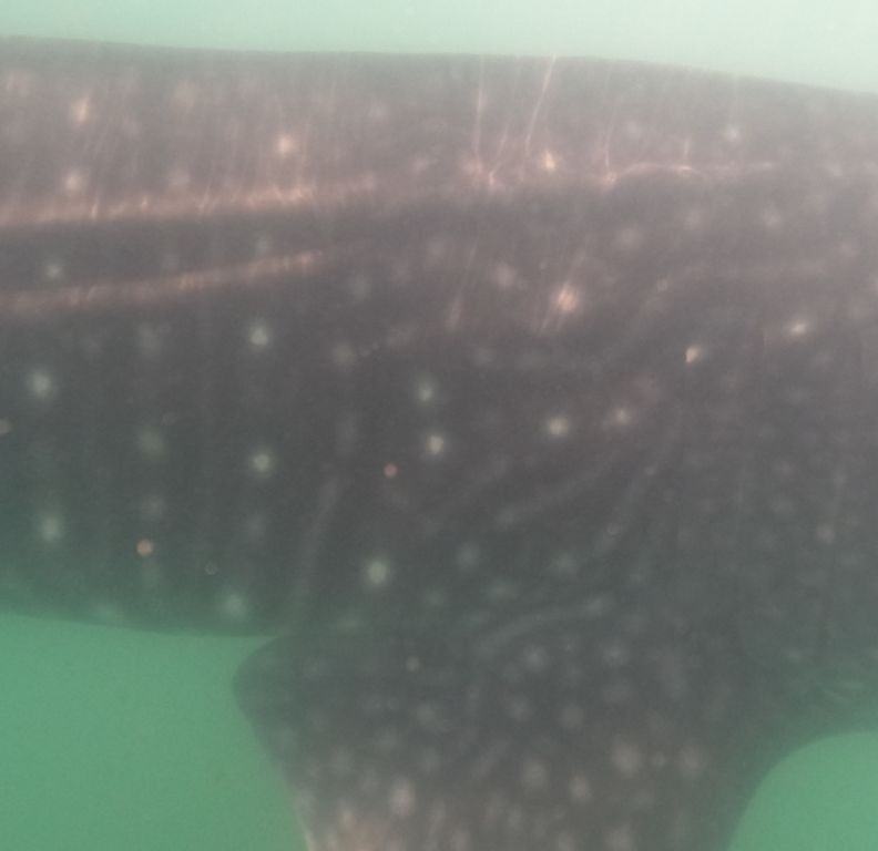 b9d42291-d689-416f-834a-0feb4eb7e191