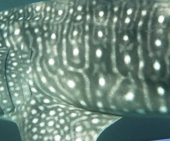 1866eb0f-f592-4f8c-9ad7-15eb00941b52